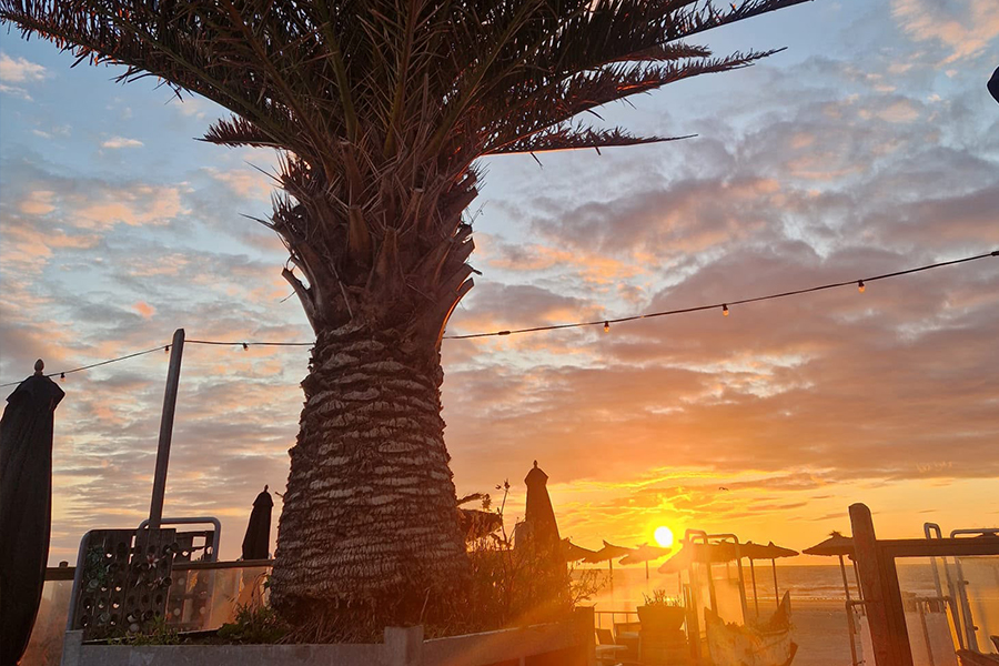 sunset